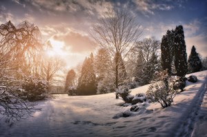 677448_web_R_by_Andreas Dengs, www.photofreaks.ws_pixelio.de