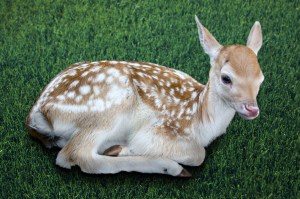 395479_original_R_by_Marcus Stark_pixelio.de