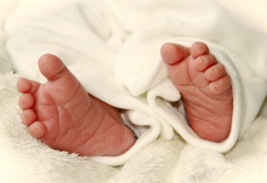 645845_web_R_by_www.helenesouza.com_pixelio.de