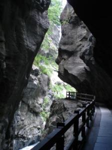 81599_web_R_by_moschnifoto_pixelio.de