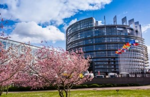 726034_web_R_K_B_by_Rainer Sturm_pixelio.de