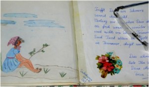 273006_web_R_K_by_Ilse Dunkel (ille)_pixelio.de