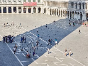 PwC_PC_Italy_Venice_MB_059.jpg People and pigeons in a courtyard