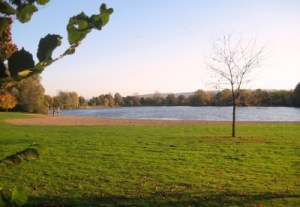 334981_web_r_k_b_by_irene-lehmann_pixelio-de